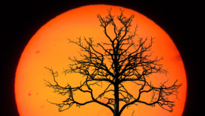 Astrološki simbol Sunca u znaku Jarac – ambicija, istrajnost i odgovornost